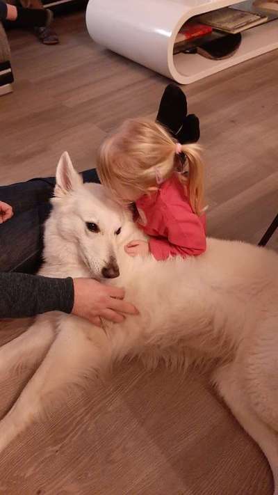 Dogorama Photo Challenge - besondere Eigenschaften-Beitrag-Bild