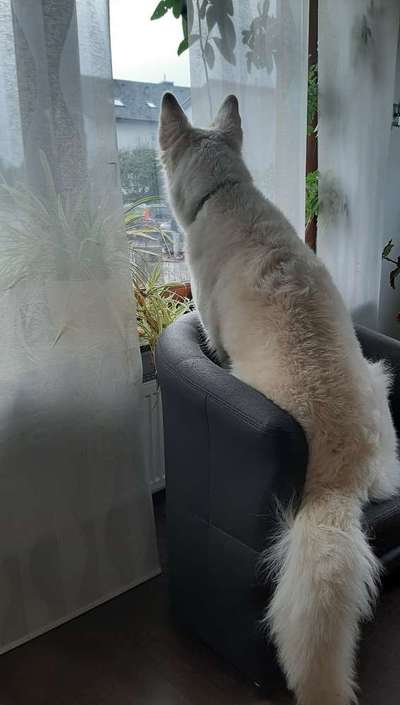 120. Fotochallenge-Beitrag-Bild