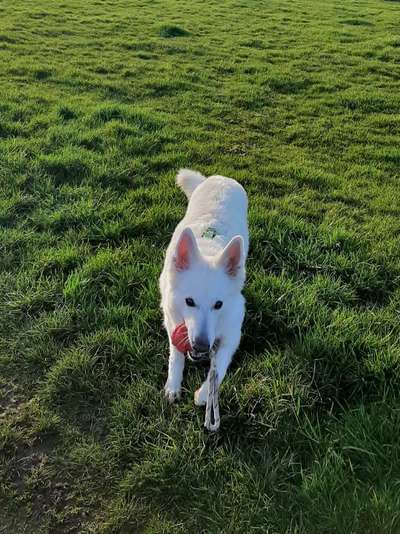 Farben Fotochallenge Thema ,,Grün"-Beitrag-Bild