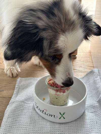 Zeigt her Eure Futternäpfe-Beitrag-Bild