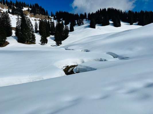 Schneeklumpen am Fell-Beitrag-Bild