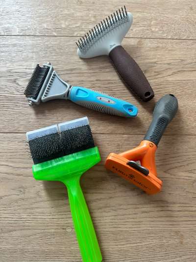 Furminator - Fellpflege beim Welpen-Beitrag-Bild