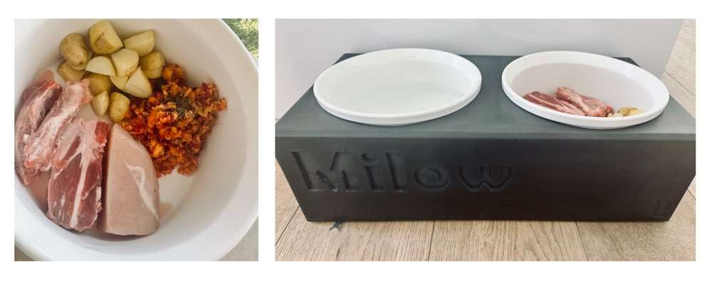 Zeigt her Eure Futternäpfe-Beitrag-Bild