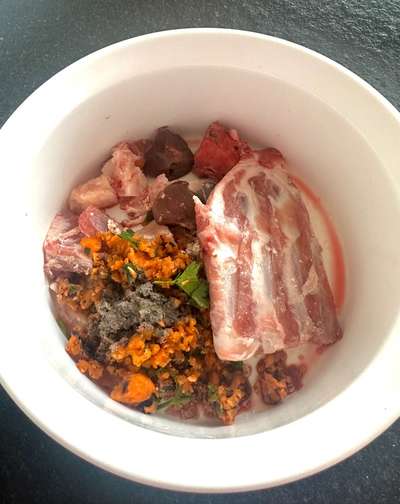 Zeigt her Eure Futternäpfe-Beitrag-Bild