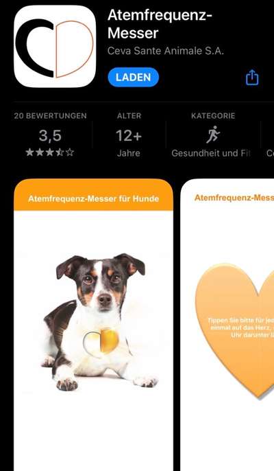 Atmung bzw. Herzschlag  - Tagebuch führen-Beitrag-Bild