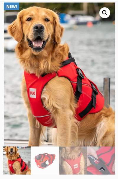 Schwimmweste für Labrador und wie zurück ins Boot-Beitrag-Bild