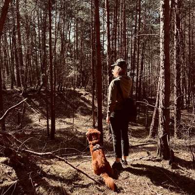Hundetreffen-Hundefreunde für Waldrunde-Bild