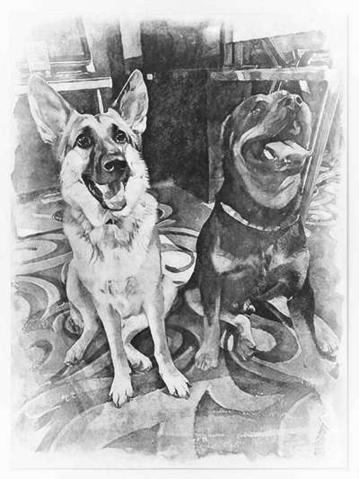 Bester Freund, Hundekumpel - zeigt her!-Beitrag-Bild