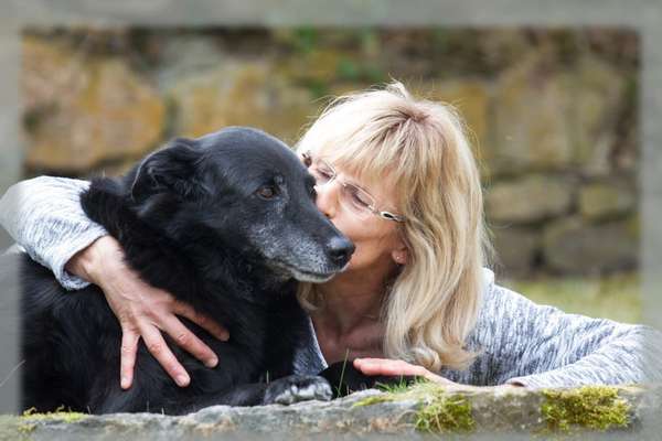 Unsere Fellnasen im Regenbogenland-Beitrag-Bild