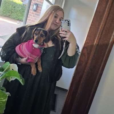 Hundetreffen-Hunde spielen/ Gassi runden mit kinder verträglichen Hunden