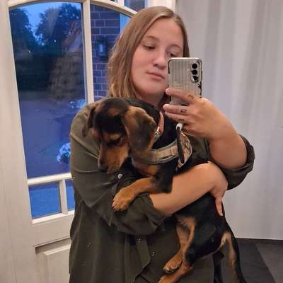 Hundetreffen-Hunde spielen/ Gassi runden mit kinder verträglichen Hunden-Profilbild