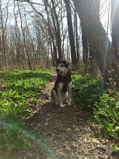 Fotochallenge 78

Es grünt und blüht-Beitrag-Bild