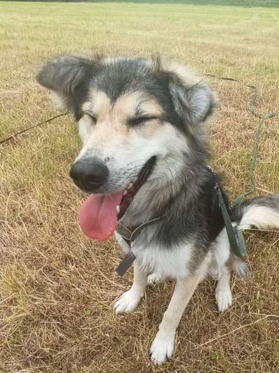 Fotochallenge Nr.122-Beitrag-Bild