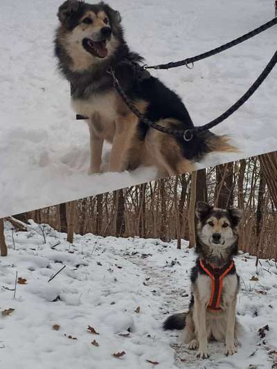 28. Handy-Fotochallenge - Damals und heute-Beitrag-Bild