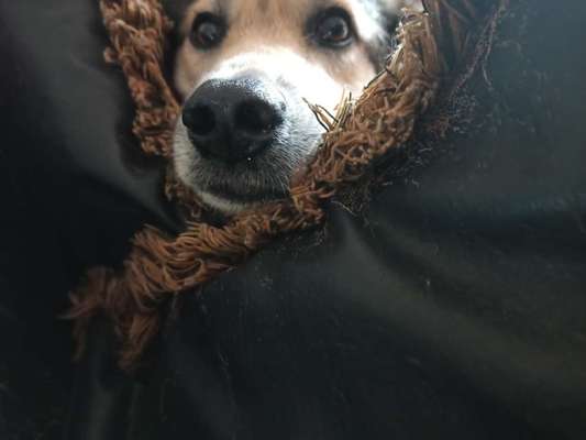 Nahaufnahme-Beitrag-Bild