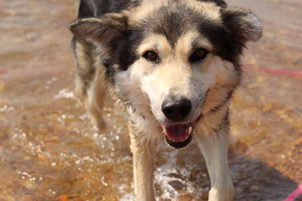 Fotochallenge Nr.105  Glücksmomente-Beitrag-Bild