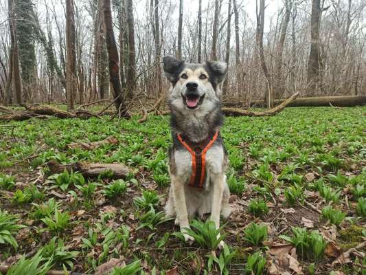 Fotochallenge Nr. 126-Beitrag-Bild