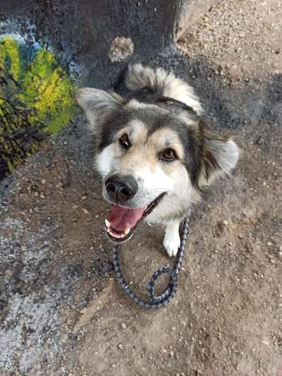 Handy-Foto Challange Nr. 10-Beitrag-Bild