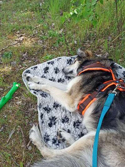 FOTO-Challenge  NR. 91: Die pure Entspannung-Beitrag-Bild