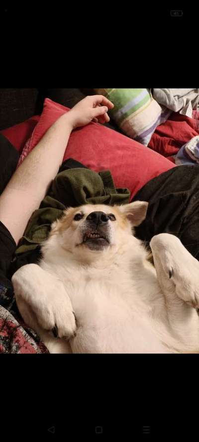 32. Collagen Challenge - eure liebsten gestellten Fotos-Beitrag-Bild