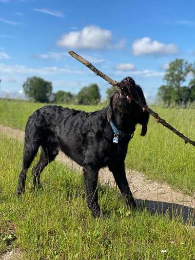 Theos Fotochallenge Nr. 3-Beitrag-Bild