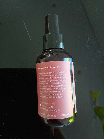 Floh und Zeckenmittel-Beitrag-Bild