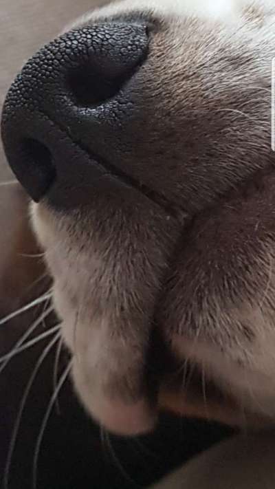 Blick fürs Detail!-Beitrag-Bild