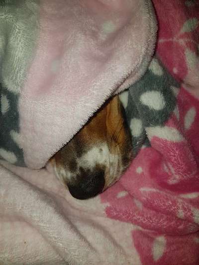 Challenge 21 - wo bin ich : )-Beitrag-Bild