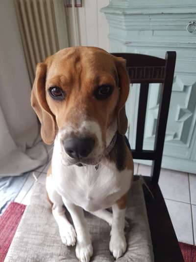 Gesicht wird dicker..-Beitrag-Bild