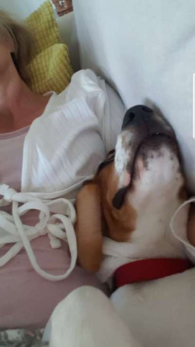 Zeigt mir die lustigsten Schlafpositionen eurer Fellnasen-Beitrag-Bild