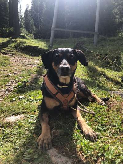 Doppelgänger gesucht !-Beitrag-Bild