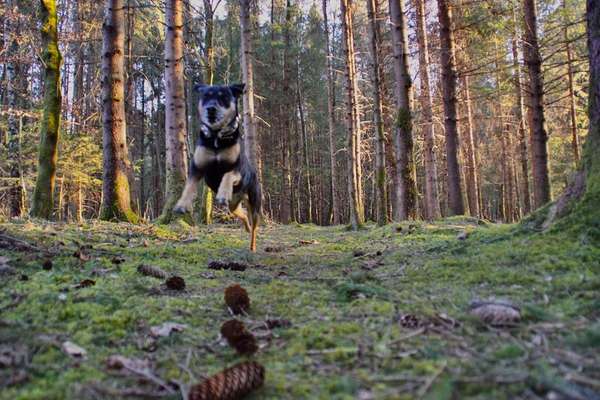 Un...scharf Bilder-Beitrag-Bild