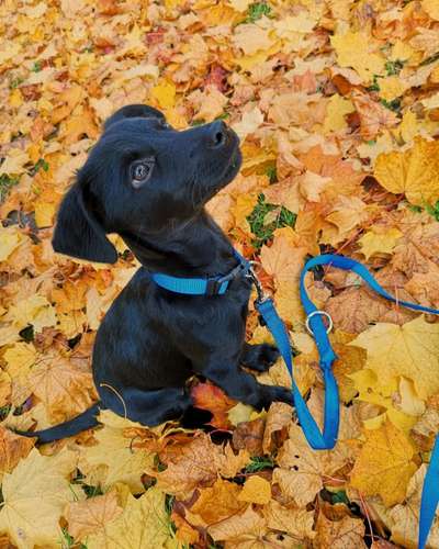 42.Fotochallenge - Eure schönen Momente beim Spaziergang-Beitrag-Bild