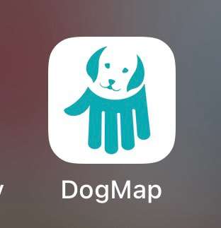 Hundefreundliche Cafés in Bremen?-Beitrag-Bild