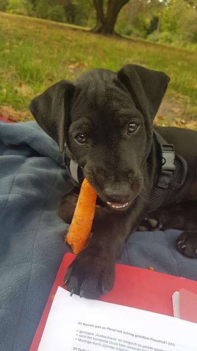 Blick fürs Detail!-Beitrag-Bild