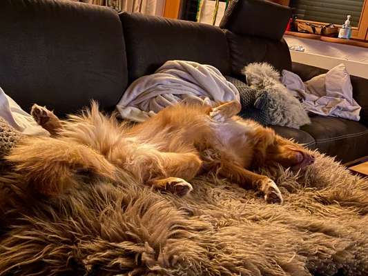 Fotochallenge Nr.65-Beitrag-Bild