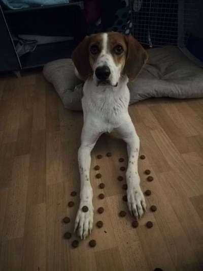 Tatort Challenge
Wer macht mit und schafft es?-Beitrag-Bild