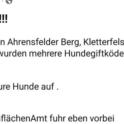 Giftköder-Giftköder-Bild