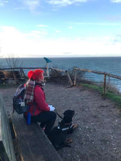 Urlaub mit dem Hund 🐶 🐾-Beitrag-Bild