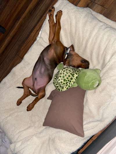 Fotochallenge Nr.65-Beitrag-Bild