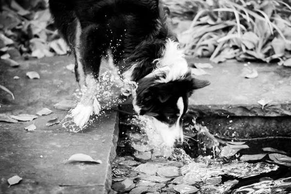 Lieblings Schnappschuss?-Beitrag-Bild