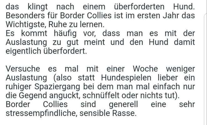 Schnuppern, schnuppern, schnuppern-Beitrag-Bild