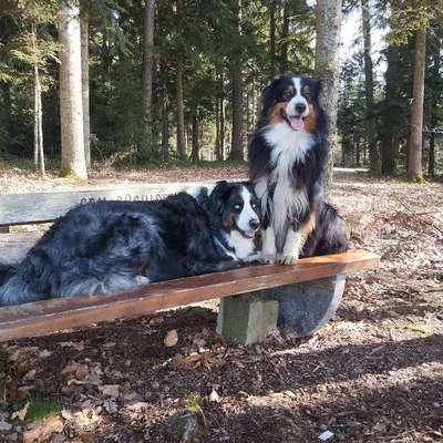 Daniela's Profilbild