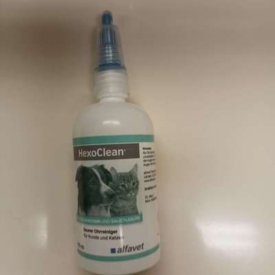 Permanente Ohrenentzündung Labrador-Beitrag-Bild