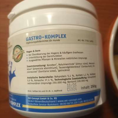 Ulmenrinde-Beitrag-Bild