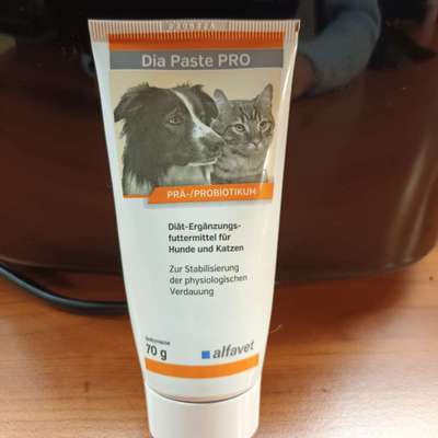 Darmaufbau nach Giardien Befall-Beitrag-Bild