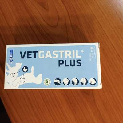 Barfen / Gesundheit-Beitrag-Bild