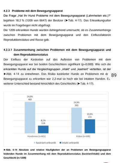 Kastration Hündin Risiken-Beitrag-Bild