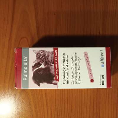 Chronischen Husten-Beitrag-Bild