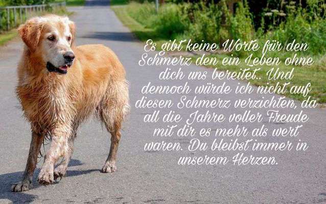 Emil hat Tetanus- Kampf ums Überleben-Beitrag-Bild